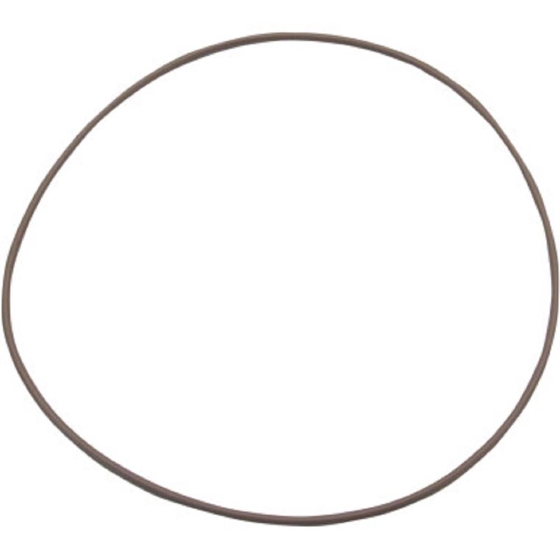 Carburetor O-Ring, 2007 Can-Am DS 90