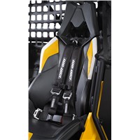 Driver 4-Point Harness